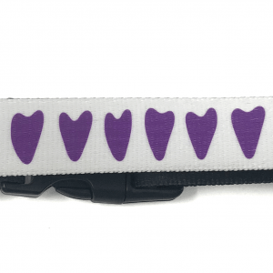 close up of personalised collar with hearts pattern