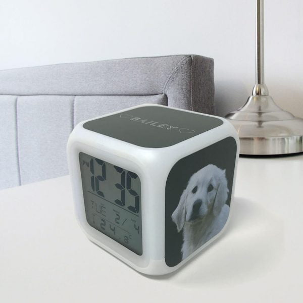 digital alarm clock personalised with dog portrait