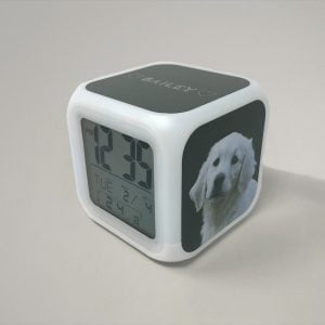 digital alarm clock with modern dog portrait of a golden retriever