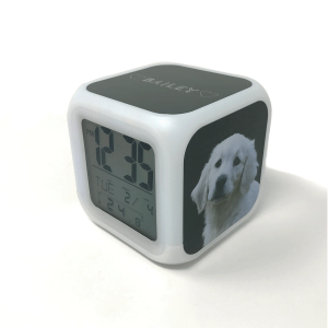 digital alarm clock with personalised dog portrait