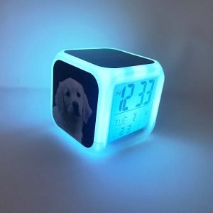 dog digital clock lighting up in blue