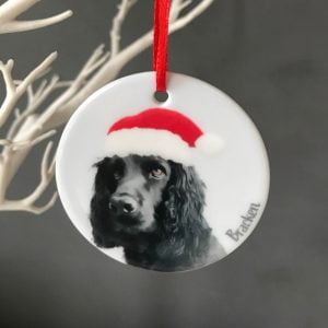 personalised pet christmas ornament with santa hat