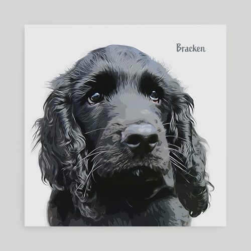 Pet Portrait Coaster showing a black cocker spaniel puppy